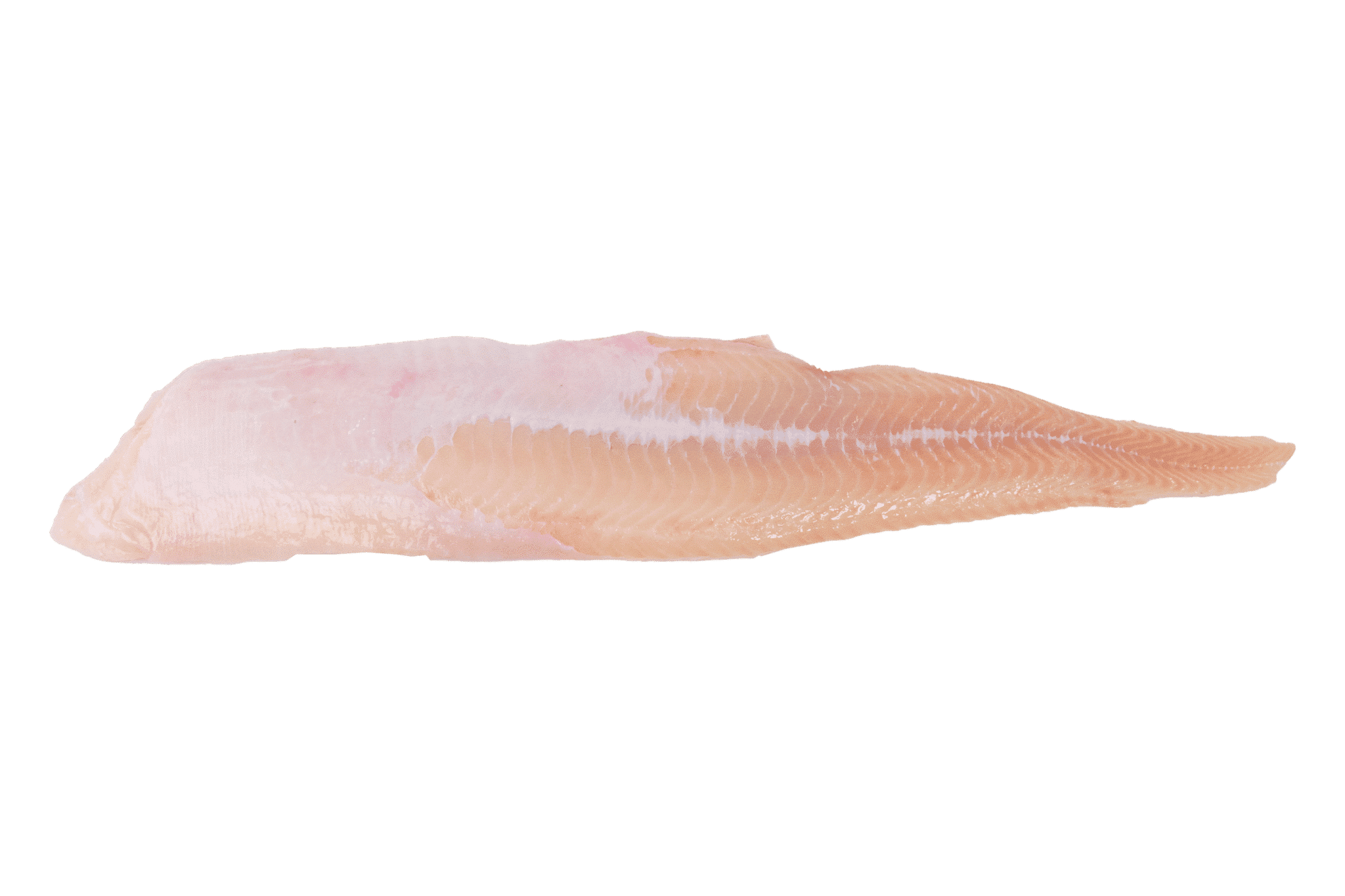 Am Ende Filets Dayseaday